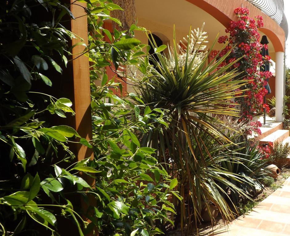 La Gentoliere Bed & Breakfast Pollestres Bagian luar foto
