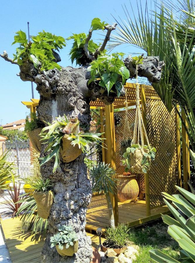 La Gentoliere Bed & Breakfast Pollestres Bagian luar foto